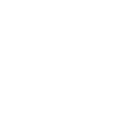 Total Health Chiropractic Logo